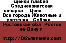 щенки Алабая (Среднеазиатская овчарка) › Цена ­ 15 000 - Все города Животные и растения » Собаки   . Ростовская обл.,Ростов-на-Дону г.